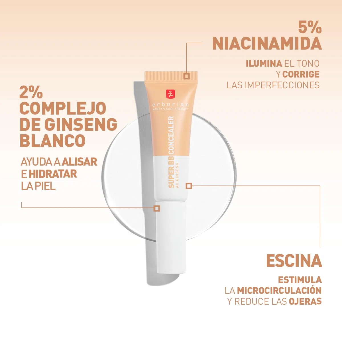 Erborian – Super BB CONCEALER - Corrector Antiojeras de Alta Cobertura con Niacinamida y SPF 25 - Hidratante para Ojos con Acabado Natural - Cosmética Coreana
