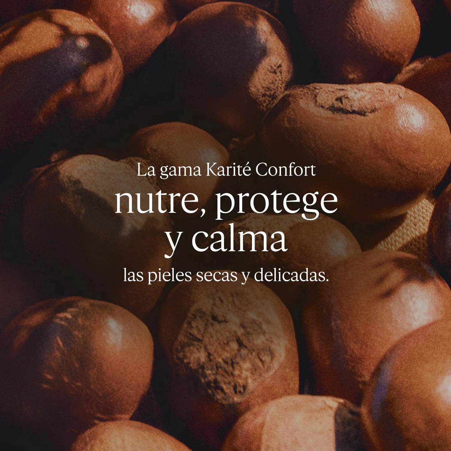 L'OCCITANE - Bálsamo de Pies Intense Karité Confort - 150 ml - Nutre y repara - Fabricado en Francia