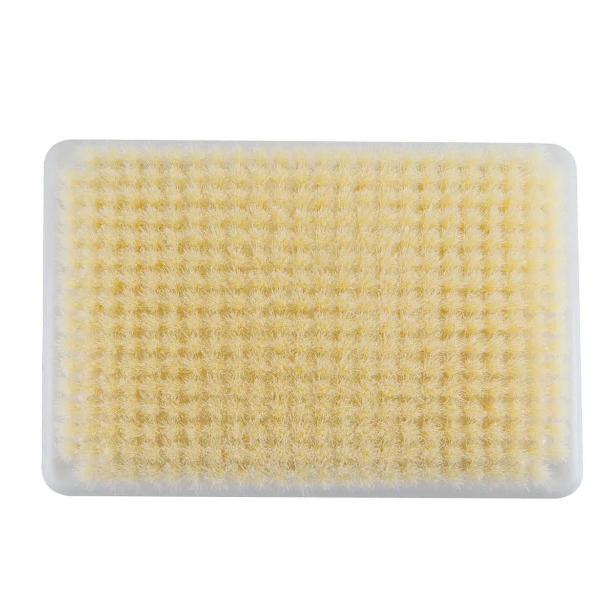 Cepillo exfoliante de pared para espalda, con gancho autoadhesivo, manos libres para ducha y cuerpo de cerdas suaves.