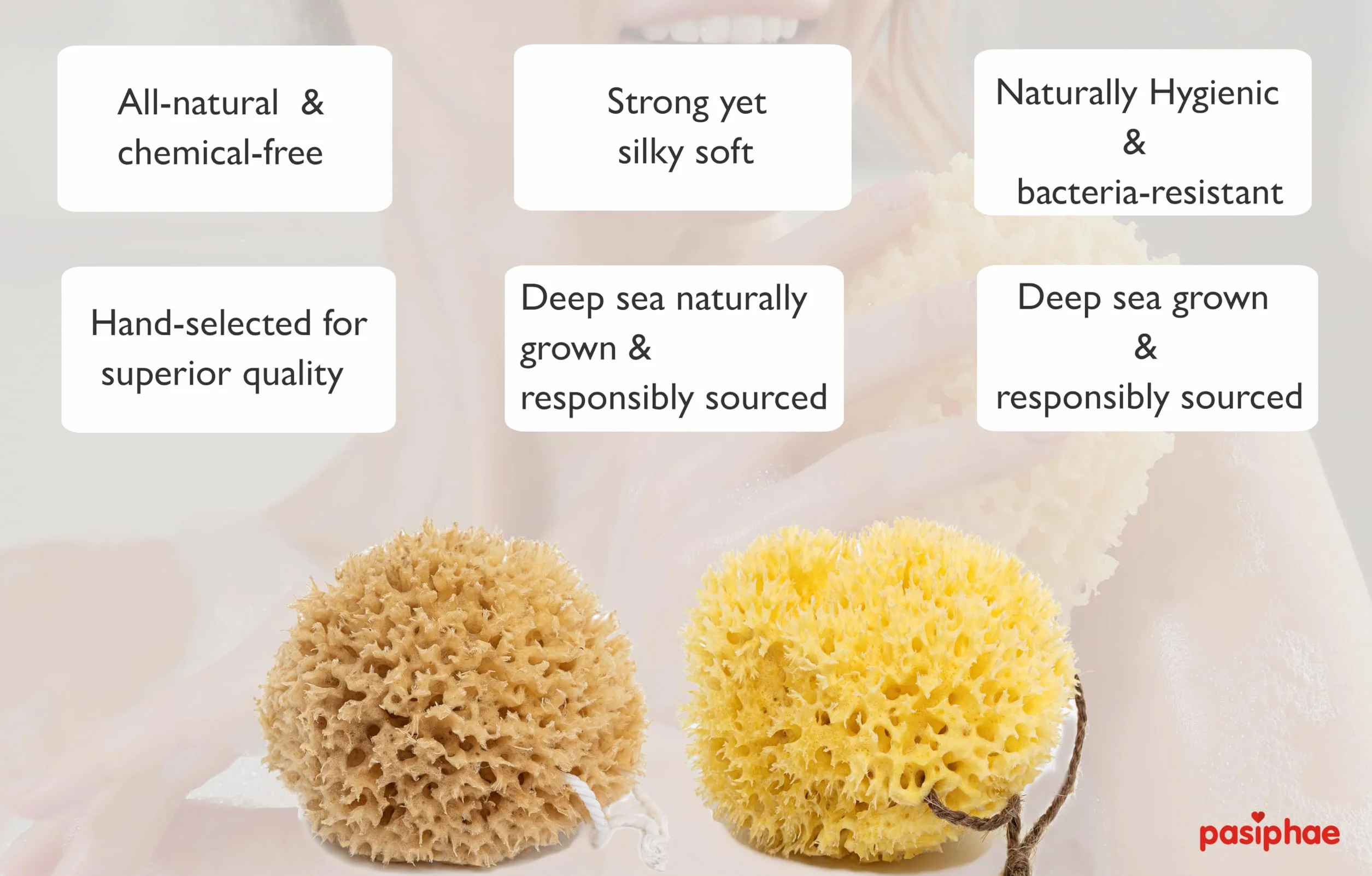 Pasiphae - Esponja de baño natural de Grecia - Esponja de baño de panal, esponja exfoliante orgánica suave para adultos, esponja corporal ecológica para mujeres y hombres (talla L, 1 unidad)