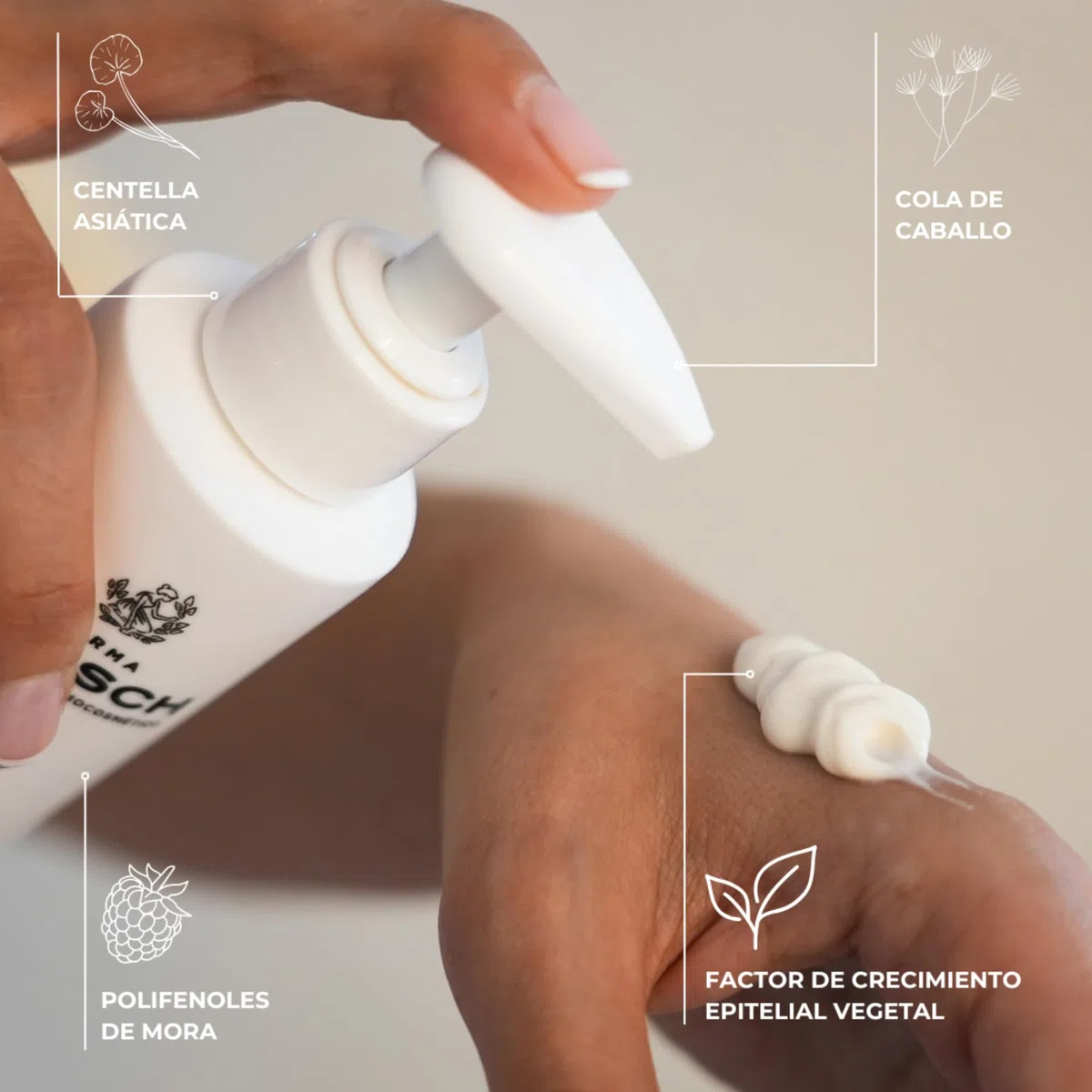 FARMA DORSCH - PUSH UP | Crema Reafirmante | Cuello, Escote, Brazos, Piernas, Senos y Glúteos | Tonifica, Aumenta Firmeza y Previene Estrías | Hidratación y Antioxidante | 200 ml