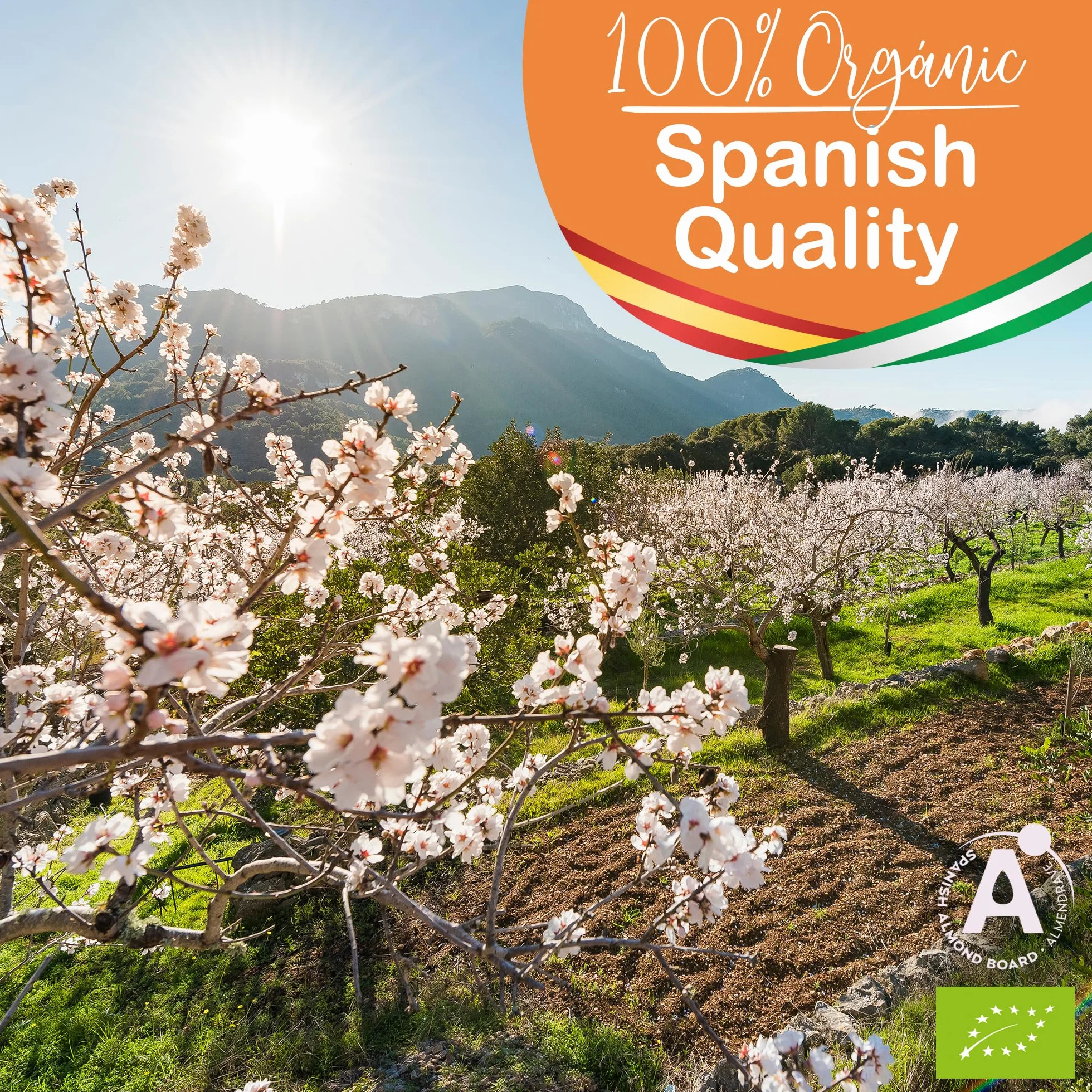 Aceite de Almendras, Organico, Prensado en Frio, Puro, Natural. Aceite Masaje Profesional, Aceite Cabello y Pestañas, Hidratante Corporal Manos, Uñas, Antiedad, Estrias, Embarazo, 1000 ml