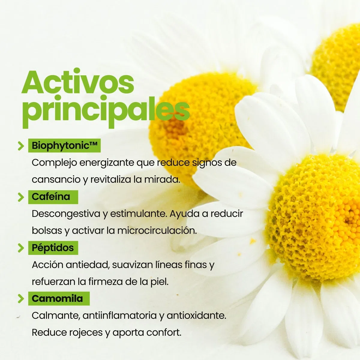 Lourdes Moreno | Contorno Flash Revitalizador con Cafeina | 12ml | Roll-on Refrescante Para Contorno Ojos | Formula Antifatiga Que Reduce La Apariencia De Bolsas Y Ojeras | Efecto Flash Inmediato