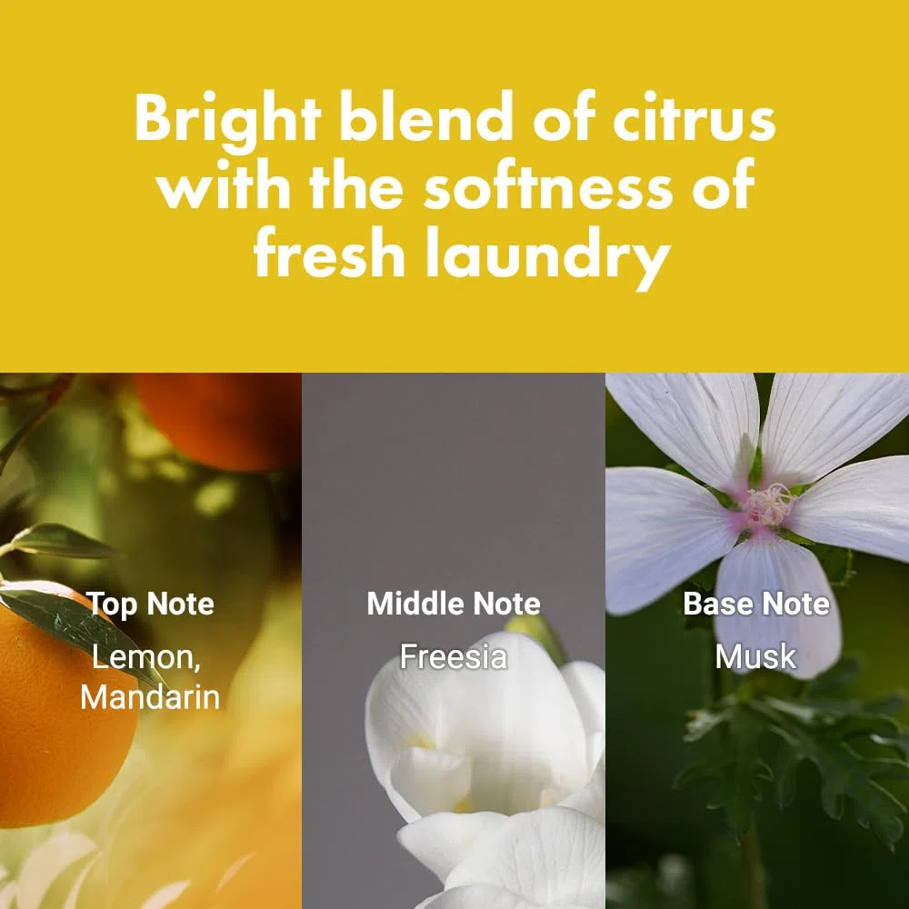 DETANGLING PERFUME HAIR MIST 01 (LEMON-FREESIA-MUSK)