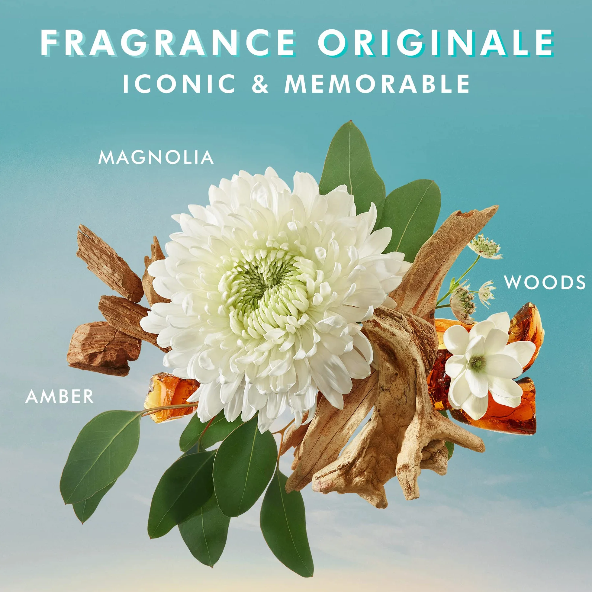 Moroccanoil Jabón Líquido, Ambiance De