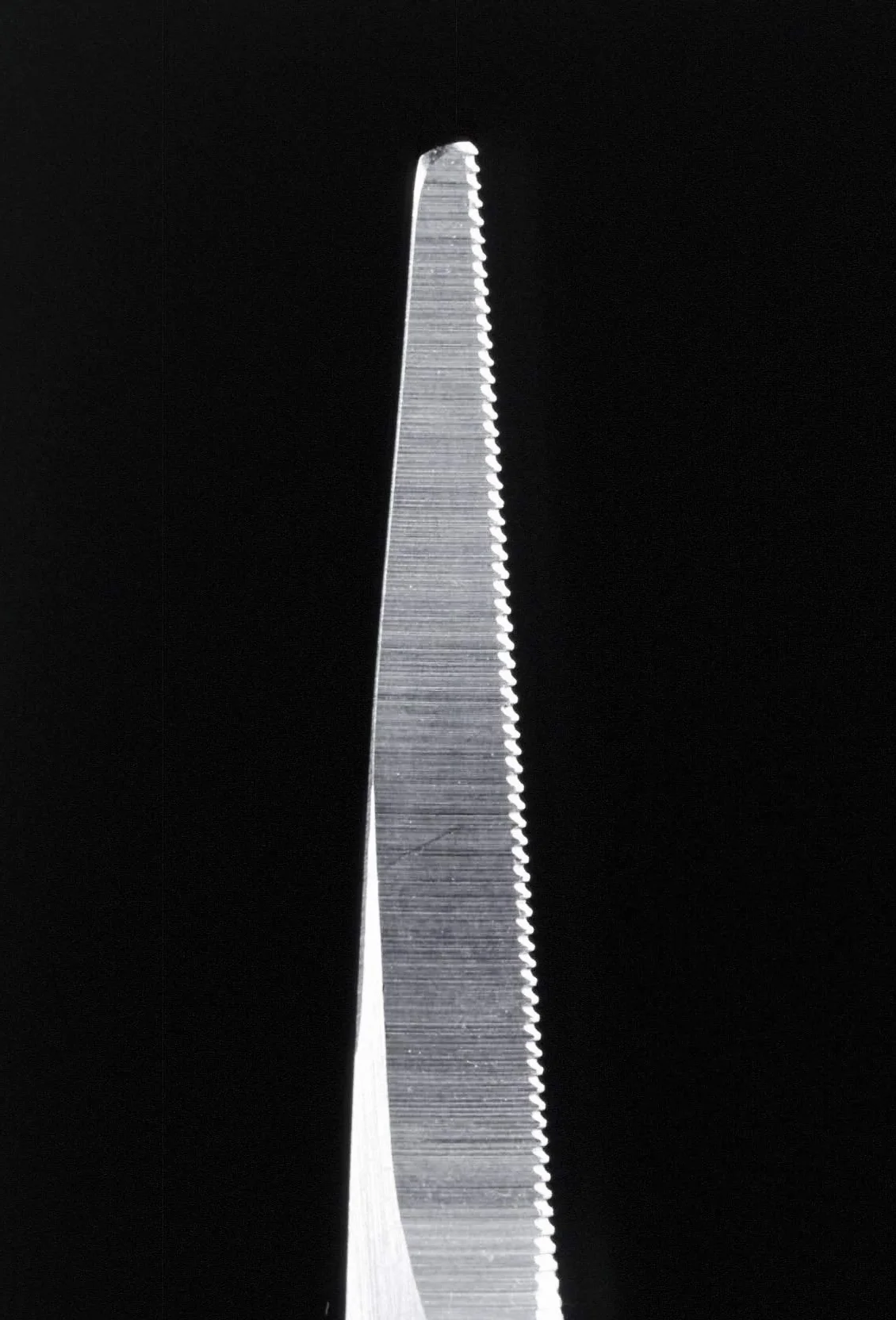 Seki EDGE SS-902 | Made in Japan | Tijeras de barba dentadas | Tijeras de precisión ergonómicas de acero inoxidable | Hojas finas afiladas a mano | 12,4 x 5,1 x 0,6 cm