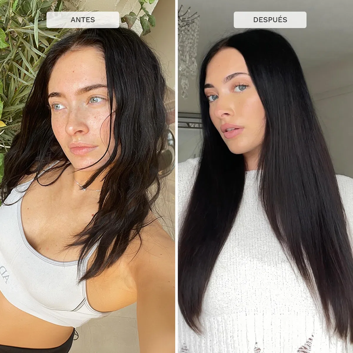 HAIR BURST Champú y Acondicionador para Cabello Graso — Limpieza Profunda, Aroma Tropical - Estimula Crecimiento, Reduce Pérdida - Sin SLS, Siliconas, Parabenos
