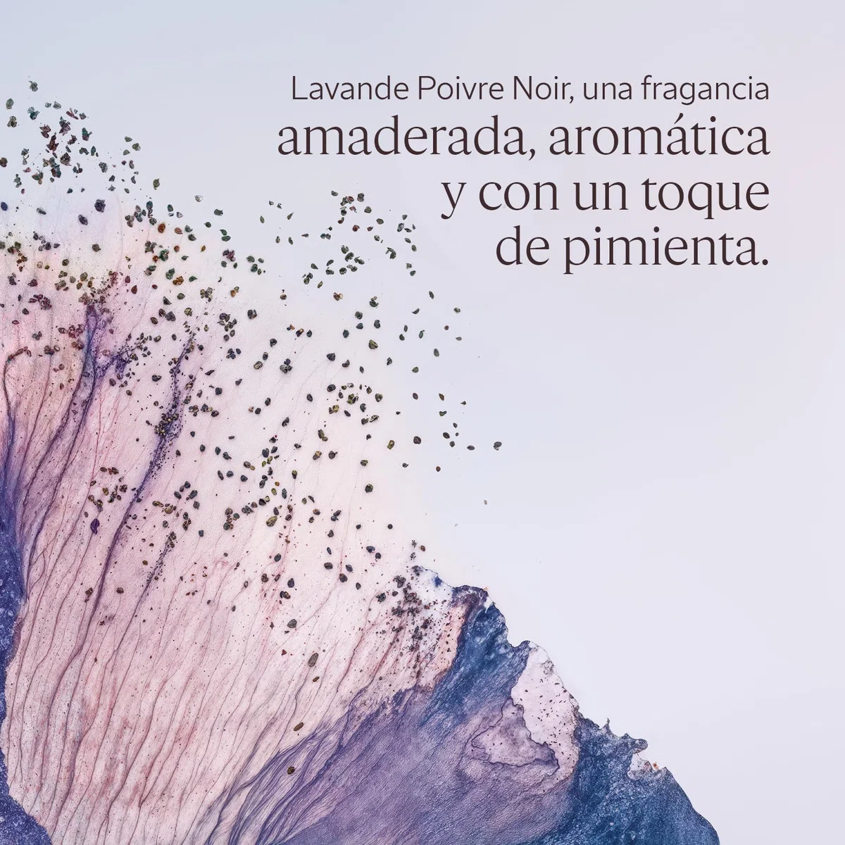 L'OCCITANE - Bálsamo Aftershave Lavande Poivre Noir (anteriormente L'Occitan) - 75 ml - Hidrata y reduce las irritaciones - Fabricado en Francia