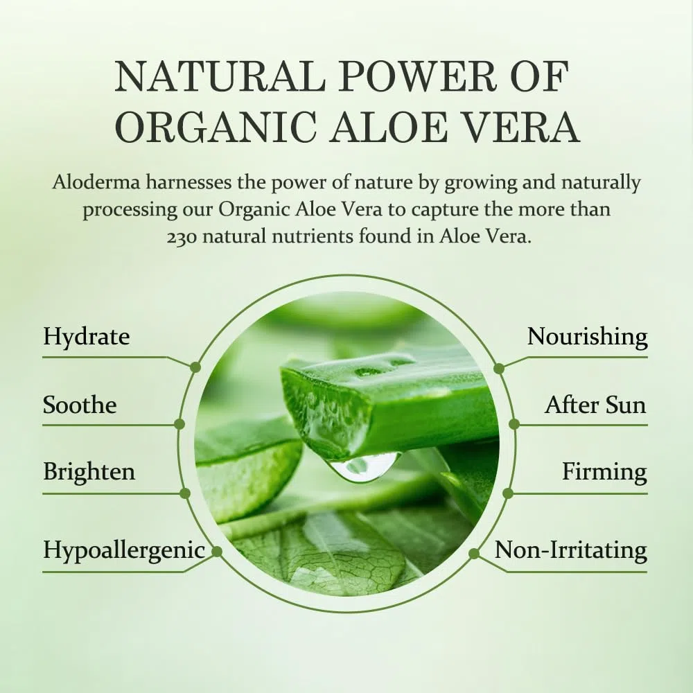 Aloderma Gel de aloe vera puro fabricado con 99% de aloe vera certificado orgánico USDA en 12 horas de cosecha (114 g, 113.4 g) sin concentrados en polvo ni parabenos, perfecto para uso diario