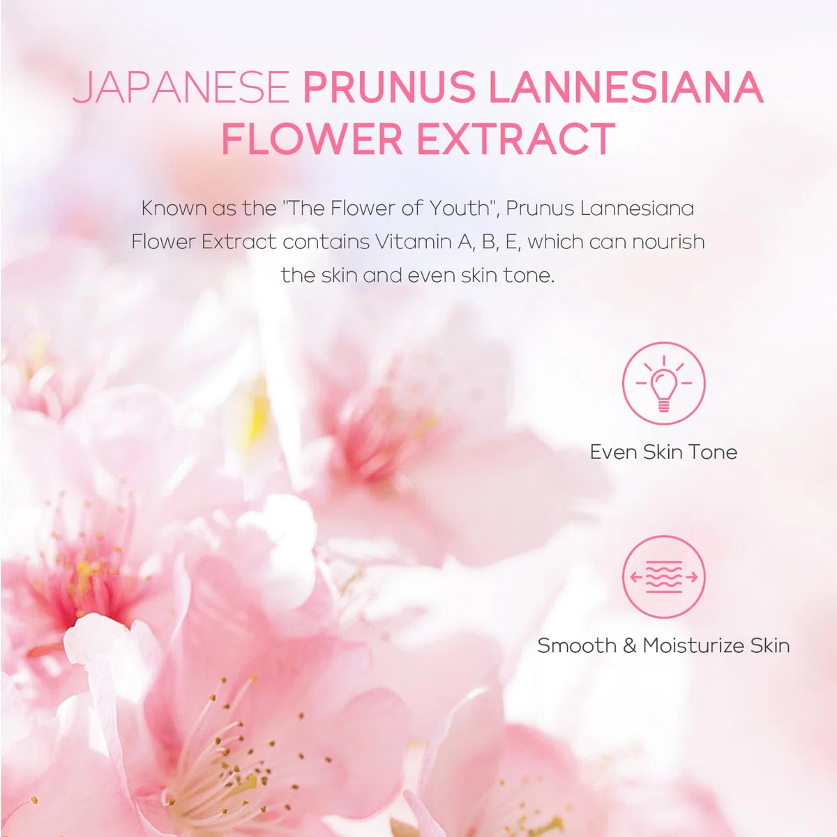 LAIKOU Kit Sakura de Cuidado de la Piel, 5 Piezas Hidratantes, Set Regalo para Mujeres y Adolescentes, Limpiador, Tónico, Suero, Crema para Ojos y Crema Facial