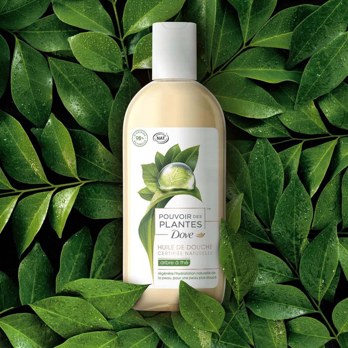 Dove Pouvoir des Plantes - Aceite de ducha para mujer, árbol de té, nutritivo, 100% origen natural, fórmula dermatológicamente probada, apto para veganos, 250 ml