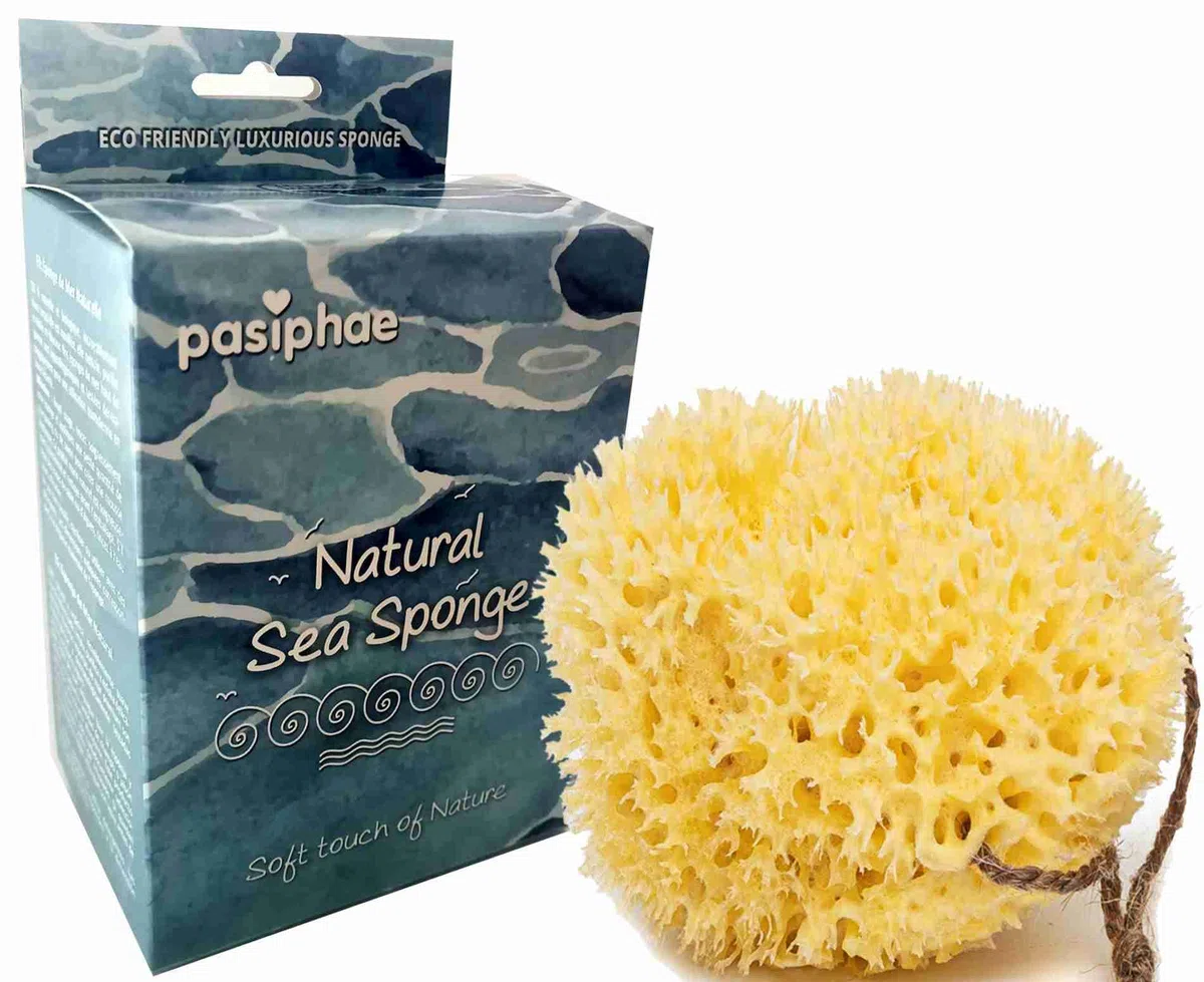 Pasiphae - Esponja de baño natural de Grecia - Esponja de baño de panal, esponja exfoliante orgánica suave para adultos, esponja corporal ecológica para mujeres y hombres (talla L, 1 unidad)