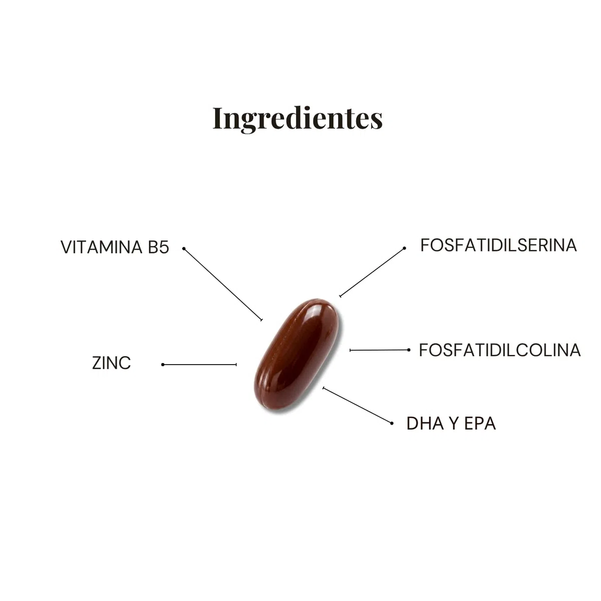DeMemory Senior 60 Cápsulas - Contribuye al Funcionamiento Normal del Cerebro en Personas Mayores - con DHA, Fosfolípidos, Vitamina B5 y Zinc