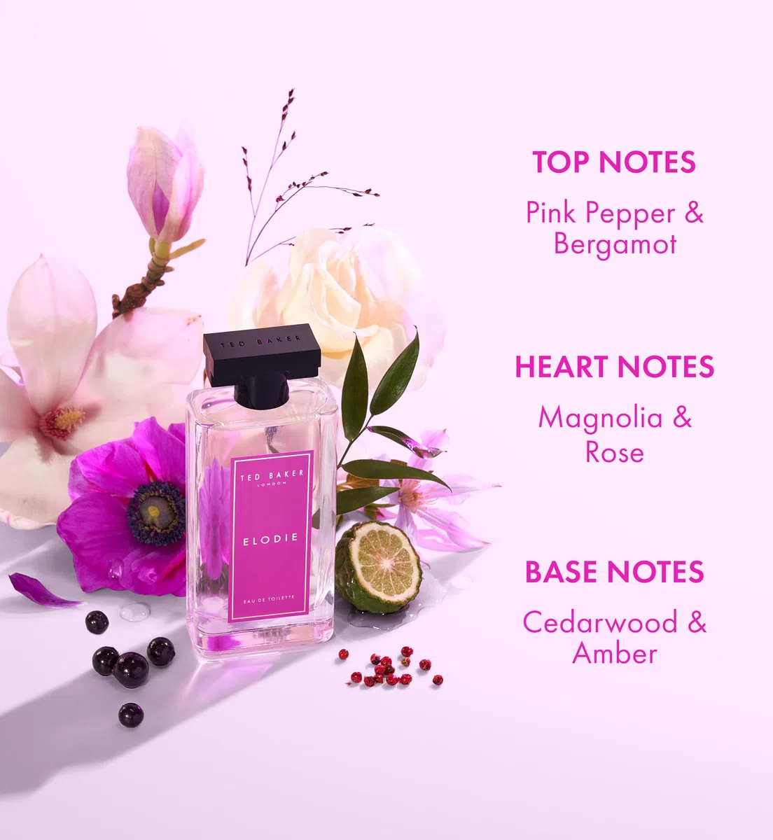 Ted Baker Set de regalo para bolso de mano Miniatures para mujer, 3 Eau de Toilettes de 15 ml de Elodie, Polly y Kasia, miniaturas afrutadas, florales y ambaradas en un estuche de lujo.