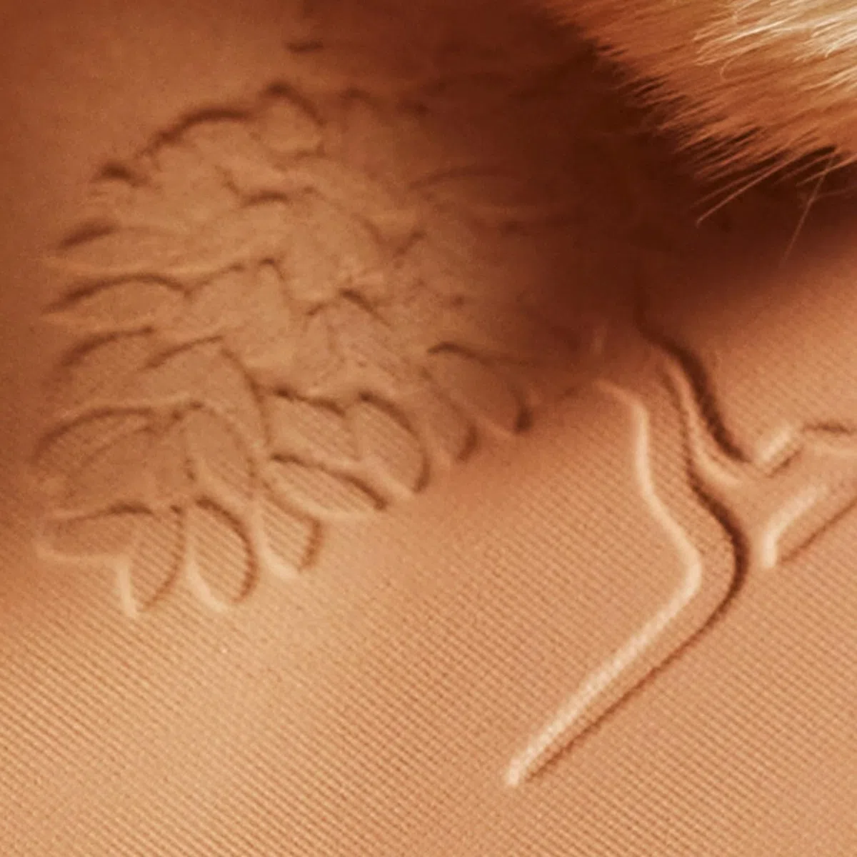 Alterna Nuxe Teint Eclat Prodigieux Powder 25 Gr