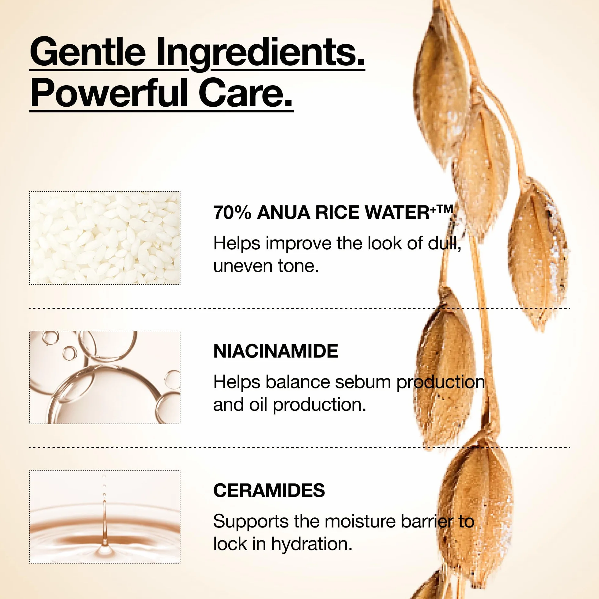 ANUA Rice 70 Glow Milky Toner (250 ml)