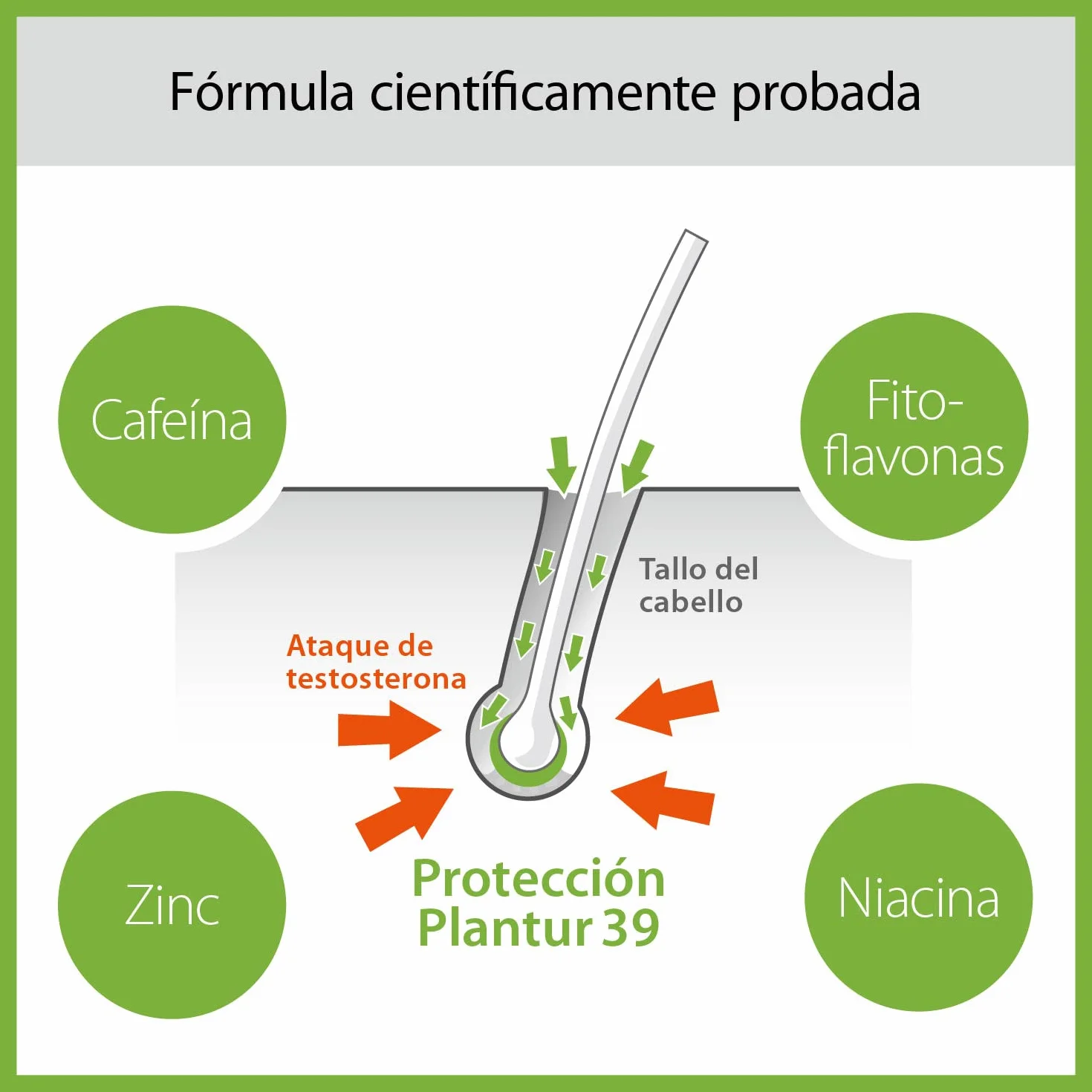 Plantur 39 Phyto Caffeine Shampoo y Conditioner I Champú Mujer con Cafeína 250 ml y Acondicionador 150 ml | Evita y Reduce la Anticaida Cabello | Para la Caida del Cabello Delgado y Frágil